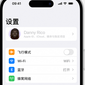 十月田镇appleID维修服务iPhone设置中Apple ID显示为灰色无法使用 