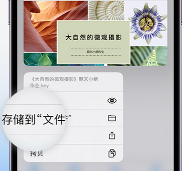 十月田镇apple维修中心分享iPhone文件应用中存储和找到下载文件