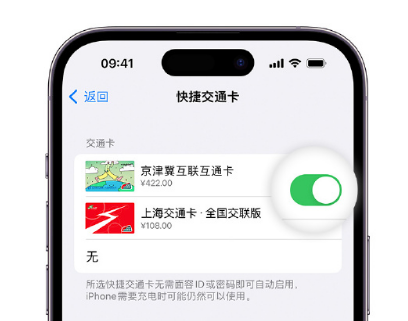 十月田镇apple维修点分享iPhone上更换Apple Pay快捷交通卡手绘卡面 