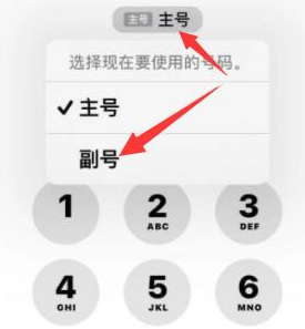 十月田镇苹果14维修店分享iPhone 14 Pro Max使用副卡打电话的方法 