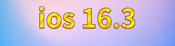 十月田镇苹果服务网点分享苹果iOS16.3升级反馈汇总 