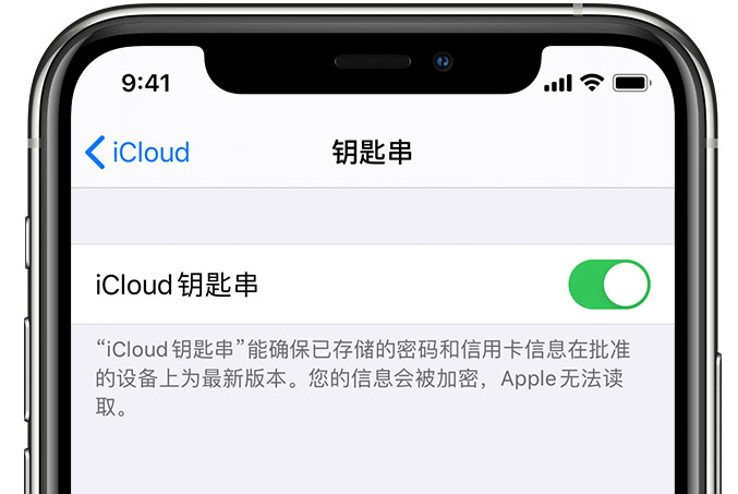 十月田镇苹果手机维修分享在 iPhone 上开启 iCloud 钥匙串之后会储存哪些信息 