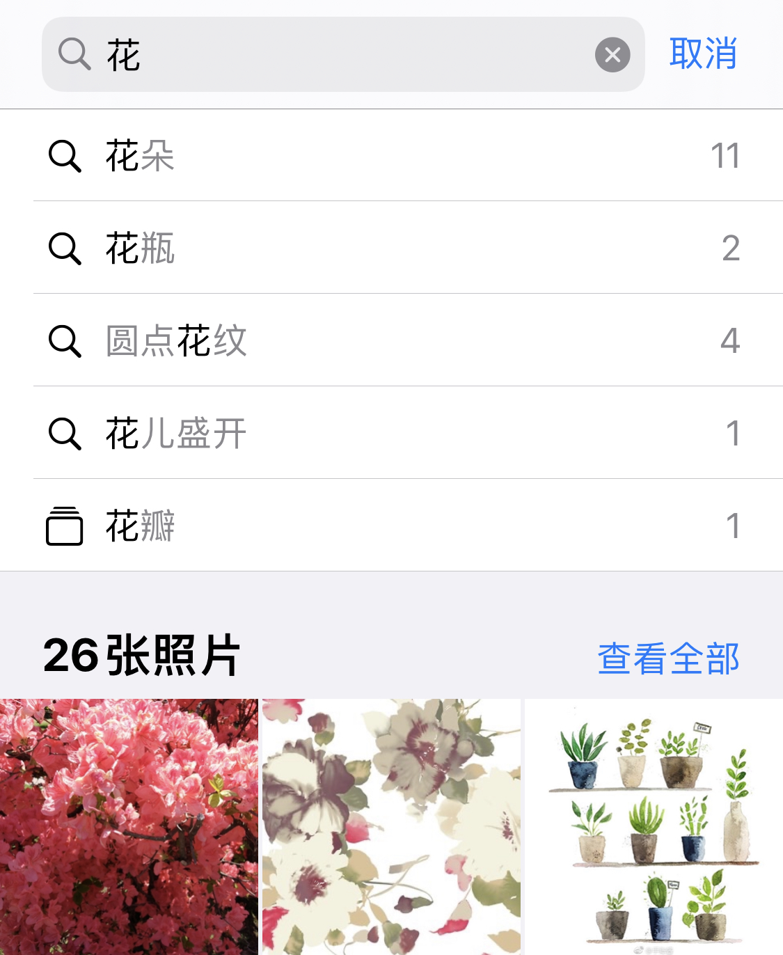 十月田镇苹果手机维修分享iPhone 小技巧 