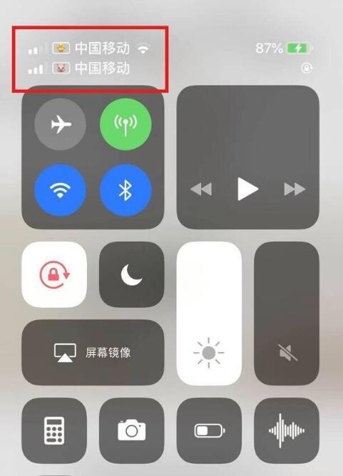 十月田镇苹果手机维修分享为 iPhone 12 双卡设置标签 